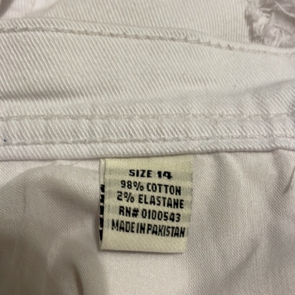 Evolution in Design - Picture 7 of 8